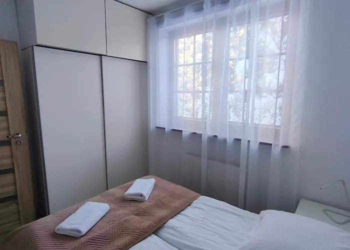 Gusia, Διαμέρισμα Ζακοπάνε