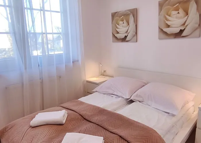 Gusia, Διαμέρισμα Ζακοπάνε