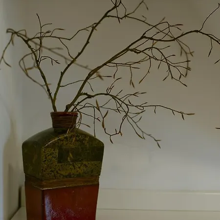 Апартаменты Gusia, *