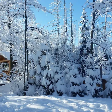 Gusia, * Zakopane