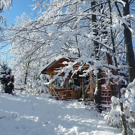 Gusia, Zakopane
